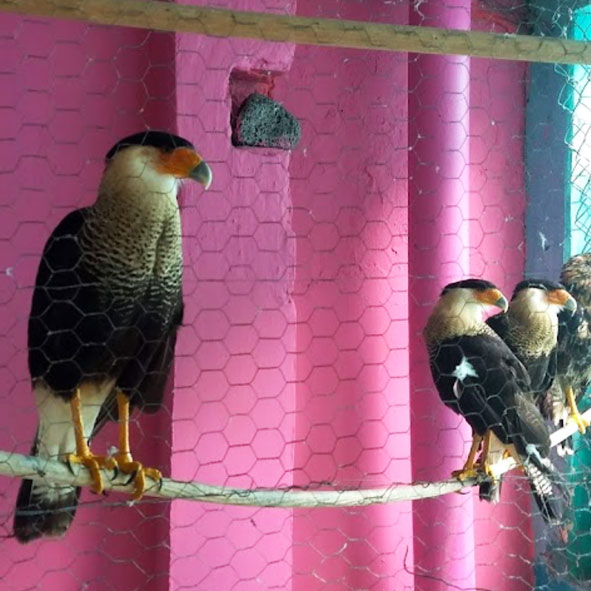 Mini Zoológico de Pio Barran Barteli